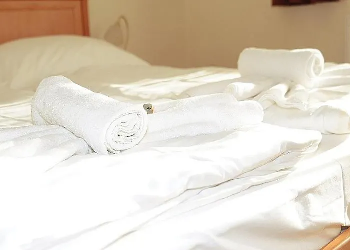 Отель Halaszkert Badacsony 2*